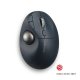 Kensington Pro Fit Ergo TB550 mouse Ufficio Mano destra RF senza fili + Bluetooth Trackball 1600 DPI 12