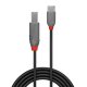 Lindy 36941 cavo USB USB 2.0 1 m USB C USB B Nero 3