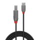 Lindy 36941 cavo USB 1 m USB 2.0 USB C USB B Nero 3