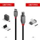 Lindy 36941 cavo USB 1 m USB 2.0 USB C USB B Nero 4