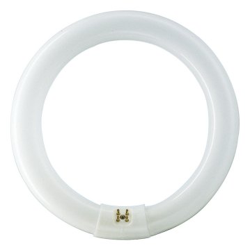 Philips TL-E Super 80 928026384040 lampada fluorescente 32 W G10q Bianco freddo