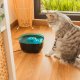 Cecotec Pumba 2200 Refresh distributore di cibo e acqua per cani e gatti Plastica Nero, Blu Universale Abbeveratoio automatico per animali domestici 11
