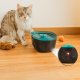 Cecotec Pumba 2200 Refresh distributore di cibo e acqua per cani e gatti Plastica Nero, Blu Universale Abbeveratoio automatico per animali domestici 9