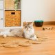 Cecotec Pumba 2200 Refresh distributore di cibo e acqua per cani e gatti Plastica Nero, Blu Universale Abbeveratoio automatico per animali domestici 10