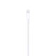 Apple Cavo da Lightning a USB (1 m) 4