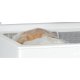 Whirlpool Congelatore a pozzetto - W 204 FO 4