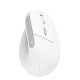 Trust Bayo II mouse Ufficio Mano destra RF Wireless Ottico 2400 DPI 3