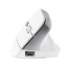 Trust Bayo II mouse Ufficio Mano destra RF Wireless Ottico 2400 DPI 4