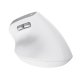 Trust Bayo II mouse Ufficio Mano destra RF Wireless Ottico 2400 DPI 7