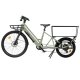 Nilox Cargo eBike C3 Nero, Verde Alluminio 69,8 cm (27.5