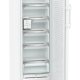 Liebherr FNb 505i Prime Congelatore verticale Libera installazione 238 L B Bianco 5