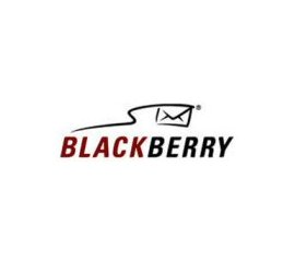 BlackBerry ACC-24211-201 custodia per cellulare Ne