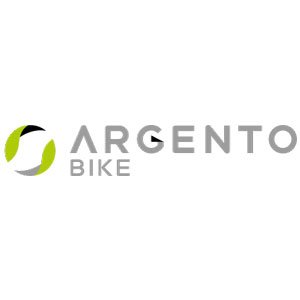 E-BIKE CITY BIKE ARGENTO OMEGA BIANCA 22