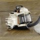 AEG LX7-1-SW-P 1,4 L A cilindro Secco 800 W Senza sacchetto 3
