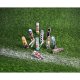 Victorinox Classic LE 2020 