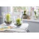 Villeroy & Boch Spring Lighting candelabro Vetro Trasparente 3