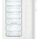 Liebherr GN4135-21 congelatore Congelatore verticale Libera installazione 271 L D Bianco 4