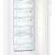 Liebherr GN4135-21 congelatore Congelatore verticale Libera installazione 271 L D Bianco 5