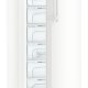 Liebherr GN4135-21 congelatore Congelatore verticale Libera installazione 271 L D Bianco 6