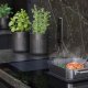 Siemens Thermometer HZ32WA00 accessorio e componente per forno Nero, Acciaio inox Acciaio inox Termometro 5