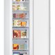 Samsung BRZ22610EWW Congelatore verticale Libera installazione 218 L E Bianco 7