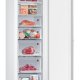 Samsung BRZ22610EWW Congelatore verticale Libera installazione 218 L E Bianco 9