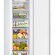 Samsung BRZ22610EWW Congelatore verticale Libera installazione 218 L E Bianco 10