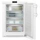 Liebherr FNdi 1624 001 20 Congelatore verticale Superficie piana 83 L D Bianco 4