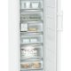 Liebherr FNd 525i Prime NoFrost Congelatore verticale Libera installazione 278 L D Bianco 10
