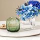 Villeroy & Boch 1173370946 vaso Vaso a forma rotonda Vetro Verde 3