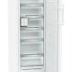 Liebherr FND505I congelatore Congelatore verticale Libera installazione 239 L D Bianco 5