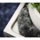 Electrolux KIT21 Kit di accessori Aspirapolvere elettrica 6