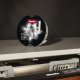 Miele GS CL 4002 P 0,4 kg 1 pz Detersivo per lavastoviglie Polvere 5