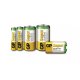 GP Batteries Super Alkaline 5501 batteria per uso domestico Batteria monouso D Alcalino 4