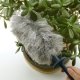 Electrolux KIT04N spazzola per la pulizia Grigio 4