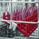 AEG F88082M0P Libera installazione 12 coperti 13