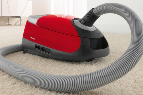 Etana 30 Sacchetti Per Aspirapolvere Compatibili Con Miele Compact C1 EcoLine - Filtro Multistrato Antistrappo