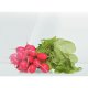 Bosch KAG90AI20 frigorifero side-by-side Libera installazione 522 L Acciaio inox 3