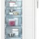 AEG A52020GNW0 Congelatore verticale 177 L Bianco 3