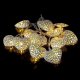 Sirius Home 29322 illuminazione decorativa 10 lampadina(e) LED 3