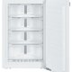 Liebherr IGN 1664 congelatore Congelatore verticale Da incasso 87 L E Bianco 4