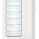 Liebherr GN 4115 congelatore Congelatore verticale Libera installazione 263 L Bianco 4