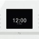 Miele DGM 6600 40 L 1000 W Acciaio inox, Bianco 3