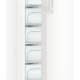 Liebherr GNPexw 3255 SUPER-E Congelatore verticale Libera installazione 192 L Bianco 8
