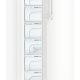 Liebherr GN4135-20 congelatore Congelatore verticale Libera installazione 263 L Bianco 4