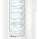 Liebherr GN4135-20 congelatore Congelatore verticale Libera installazione 263 L Bianco 5
