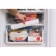 Hotpoint Ariston HBD 5515 W UK Libera installazione 208 L Bianco 8