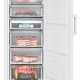 Beko FFP1577 Congelatore verticale Libera installazione 220 L Bianco 4