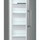 Gorenje FN6192CXUK Congelatore verticale Libera installazione 243 L F 4