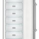 Liebherr SGNef 3036 Comfort NoFrost Congelatore verticale Libera installazione 268 L F Argento 5